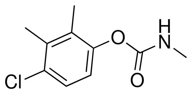 4-chloro-2,3-dimethylphenyl methylcarbamate