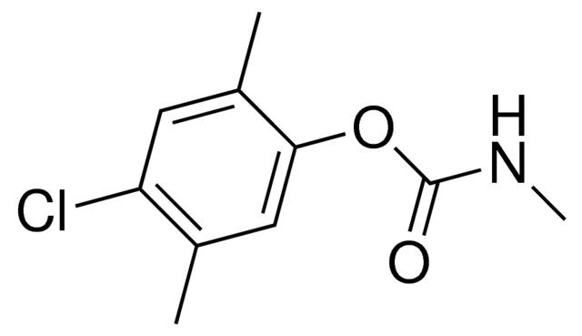 4-chloro-2,5-dimethylphenyl methylcarbamate