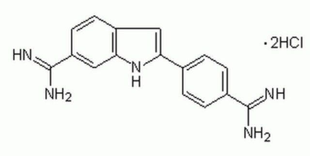 DAPI, Dihydrochloride-CAS 28718-90-3-Calbiochem