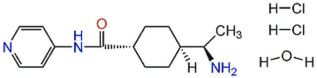 InSolution Y-27632-Calbiochem