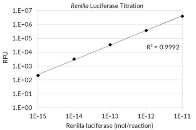 <i>Renilla</i> Luciferase Assay