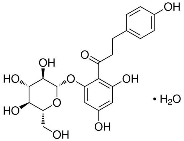 Phlorizin hydrate