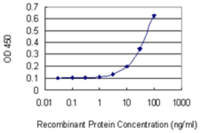 Monoclonal Anti-XRCC3 antibody produced in mouse