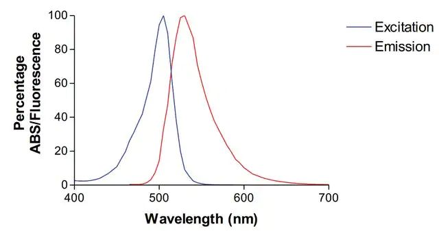 Monoclonal Anti-Qki-Atto 488 antibody produced in mouse