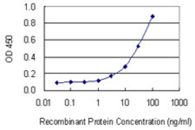 Monoclonal Anti-RAB34, (C-terminal) antibody produced in mouse