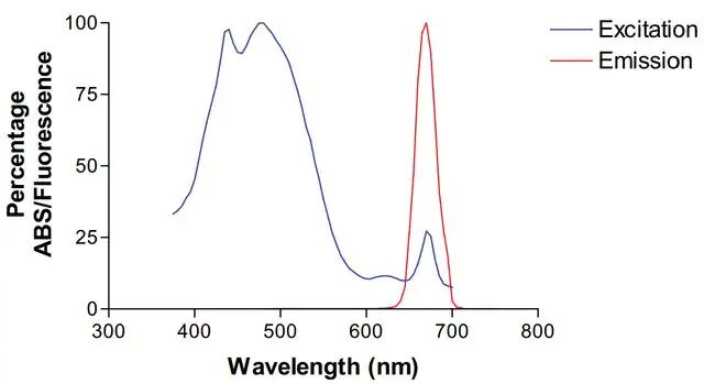 Monoclonal Anti-Qki-Percp antibody produced in mouse