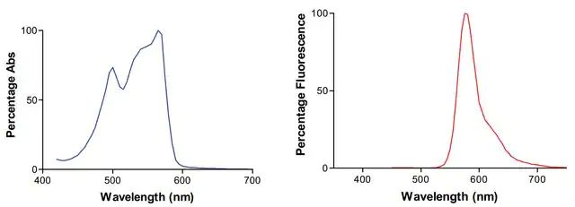 Monoclonal Anti-Qki-Rpe antibody produced in mouse