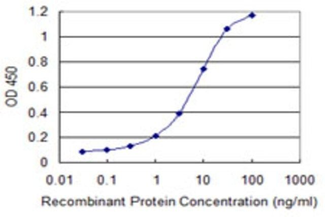 Monoclonal Anti-QDPR antibody produced in mouse