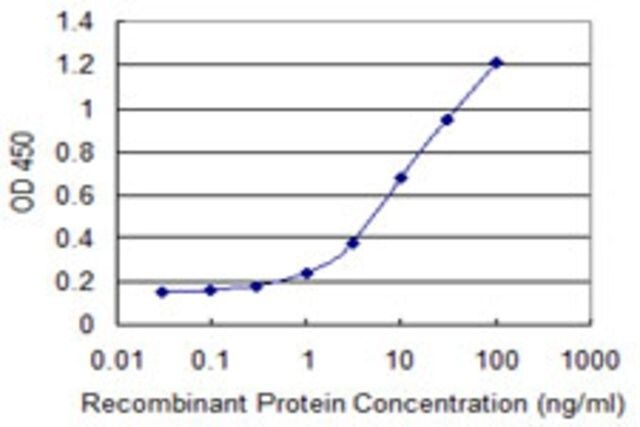 Monoclonal Anti-NCDN antibody produced in mouse