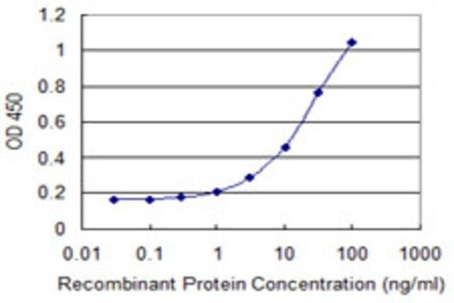 Monoclonal Anti-NCKIPSD, (N-terminal) antibody produced in mouse