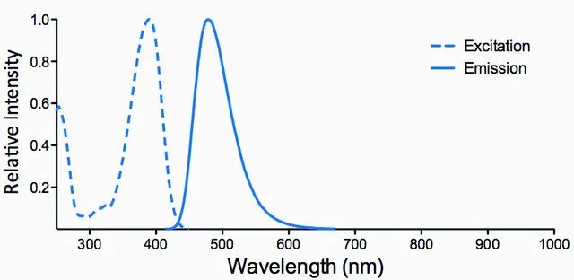 Monoclonal Anti-Nitrotryptophan-Atto 390 antibody produced in mouse