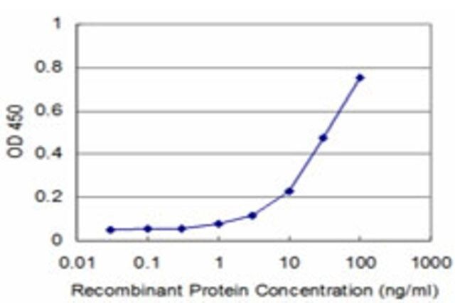 Monoclonal Anti-NHLH2 antibody produced in mouse