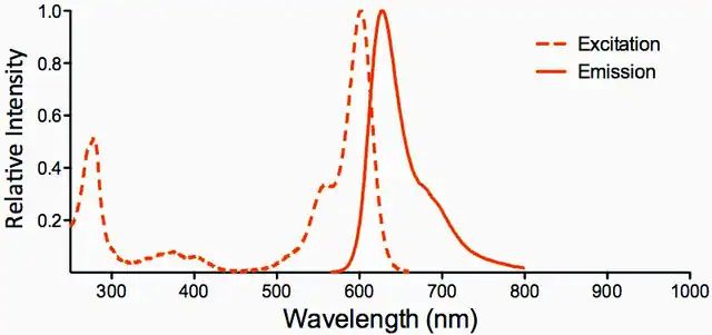 Monoclonal Anti-NPAS4-Atto 594 antibody produced in mouse