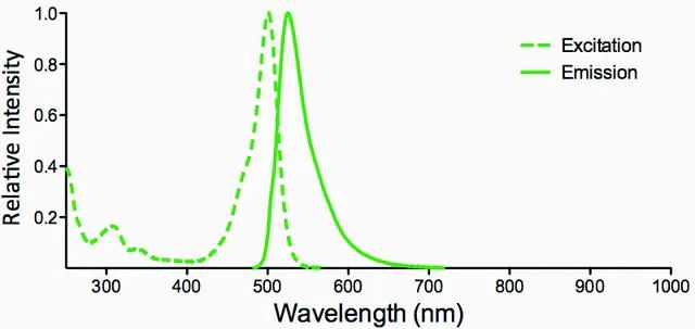 Monoclonal Anti-Methylglyoxal-Atto 488 antibody produced in mouse