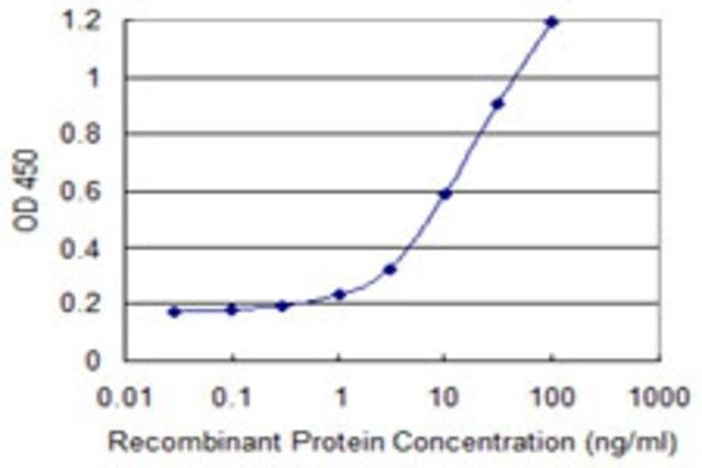 Monoclonal Anti-MGC35295 antibody produced in mouse