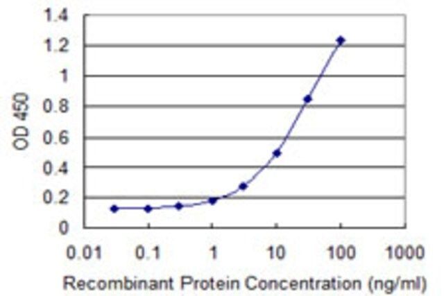 Monoclonal Anti-DPP8 antibody produced in mouse