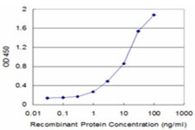 Monoclonal Anti-ECHS1, (C-terminal) antibody produced in mouse