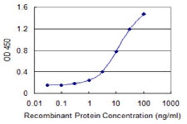 Monoclonal Anti-EIF5B antibody produced in mouse