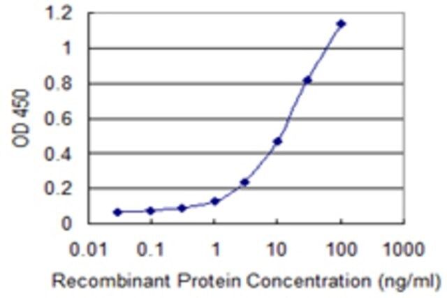 Monoclonal Anti-EIF3S3 antibody produced in mouse