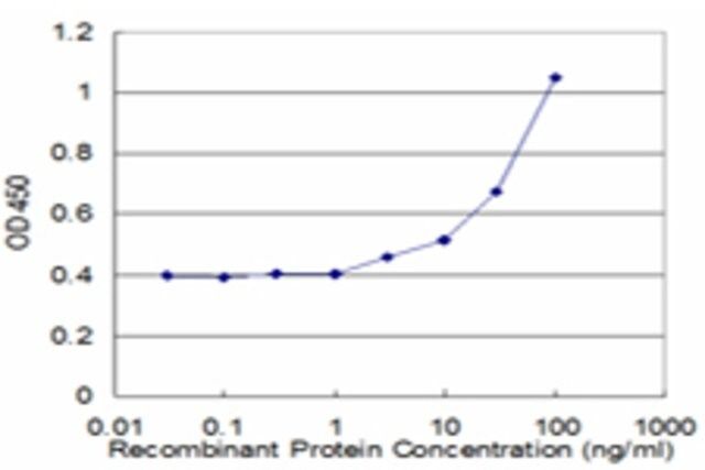 Monoclonal Anti-FAH, (N-terminal) antibody produced in mouse