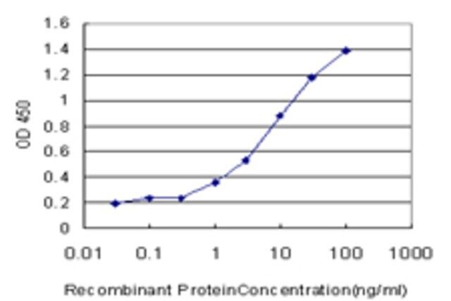 Monoclonal Anti-FBL antibody produced in mouse