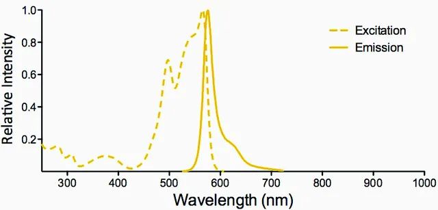 Monoclonal Anti-Citrulline-R-Phycoerythrin antibody produced in mouse