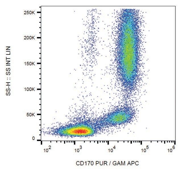 Monoclonal Anti-CD170 antibody produced in mouse