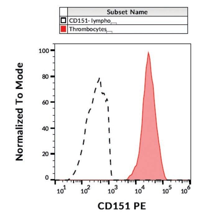 Monoclonal Anti-CD151 antibody produced in mouse