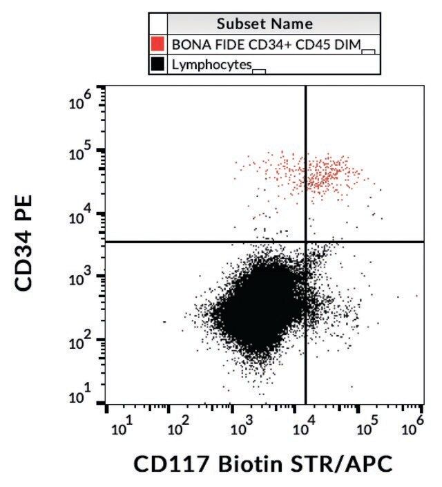 Monoclonal Anti-CD117/cKit antibody produced in mouse