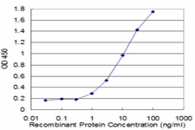 Monoclonal Anti-ACTR1A, (C-terminal) antibody produced in mouse