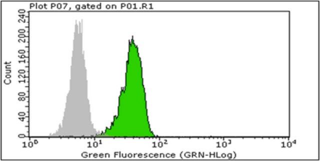 Anti-sTRAIL Antibody, clone III6F