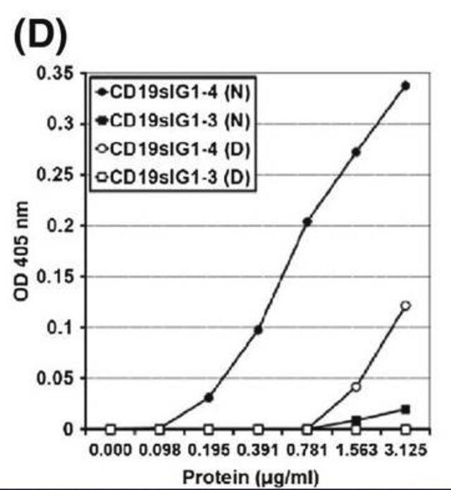 Anti-Human B cells (CD19) Antibody, clone FMC63