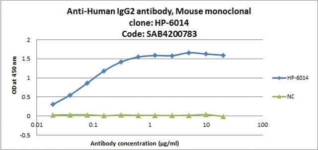 Anti-Human IgG2 antibody, Mouse monoclonal