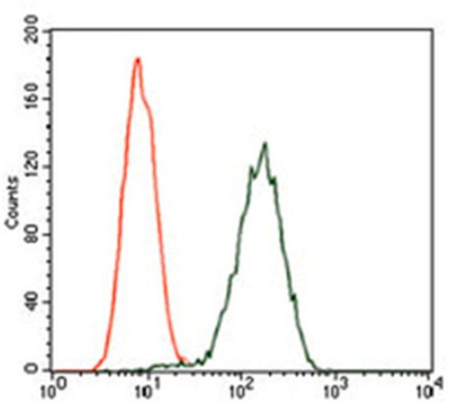 Anti-GPC3 Antibody, clone 9C2