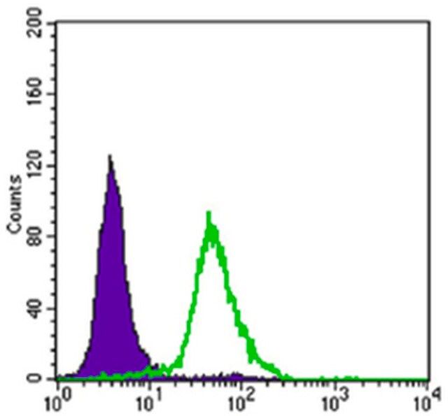 Anti-CRTC2 Antibody, clone 5B10