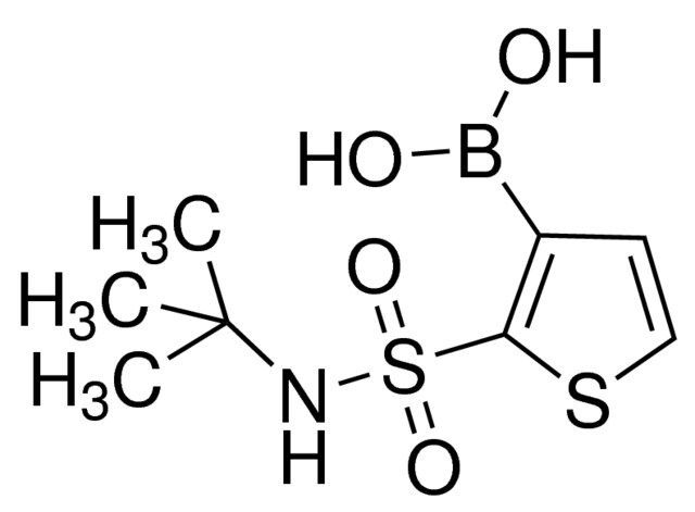 2-(<i>tert</i>-Butylsulfamoyl)thiophene-3-boronic acid