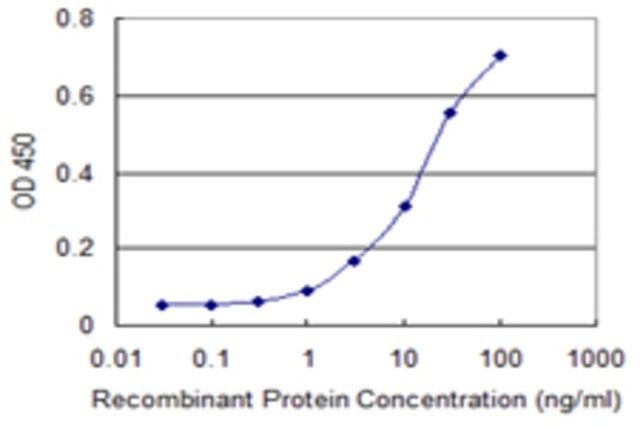 Monoclonal Anti-RBL2 antibody produced in mouse