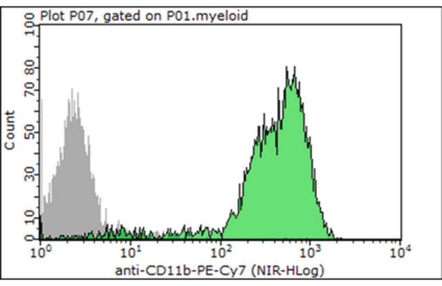 Anti-CD11b Antibody (human/mouse), PE-Cy7, clone M1/70