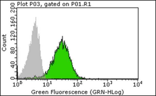 Anti-CD28 Antibody, clone 15E8