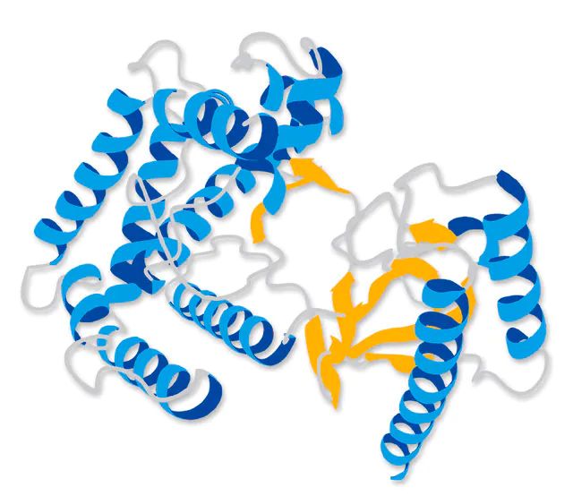 MEK2 Protein, inactive, 50 g