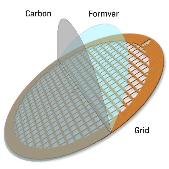 Formvar/Carbon Supported Nickel Square Mesh