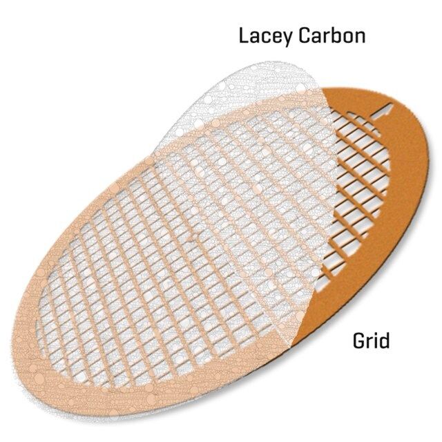 Lacey Carbon Supported Gold Grids