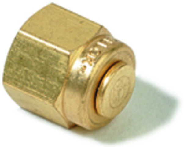 Swagelok<sup>?</sup> Plug