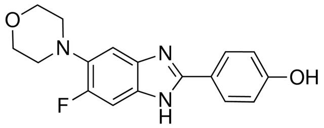 4-(6-FLUORO-5-MORPHOLINO-1H-BENZO[D]IMIDAZOL-2-YL)PHENOL