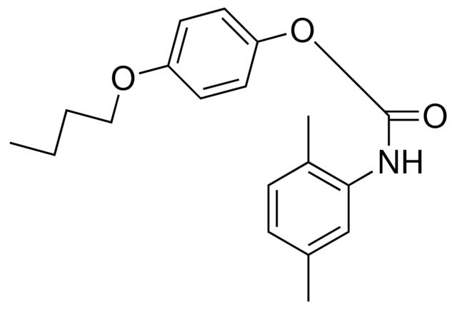 4-BUTOXYPHENYL N-(2,5-XYLYL)CARBAMATE