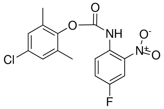 4-CHLORO-2,6-DIMETHYLPHENYL N-(4-FLUORO-2-NITROPHENYL)CARBAMATE