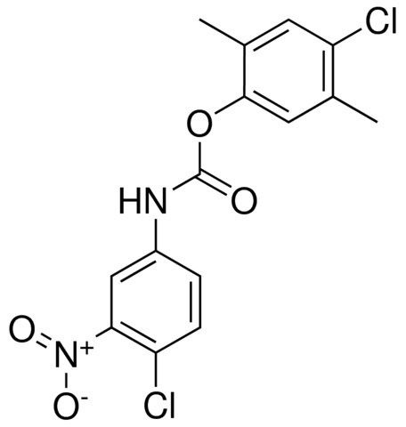 4-CHLORO-2,5-DIMETHYLPHENYL N-(4-CHLORO-3-NITROPHENYL)CARBAMATE