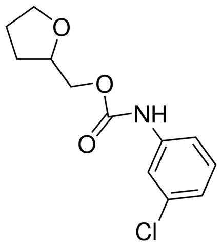 TETRAHYDROFURFURYL N-(3-CHLOROPHENYL)CARBAMATE