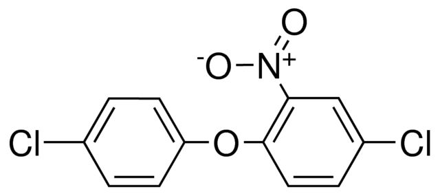 4-CHLOROPHENYL 4-CHLORO-2-NITROPHENYL ETHER