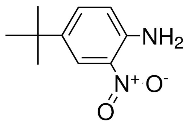 4-tert-Butyl-2-nitro-phenylamine